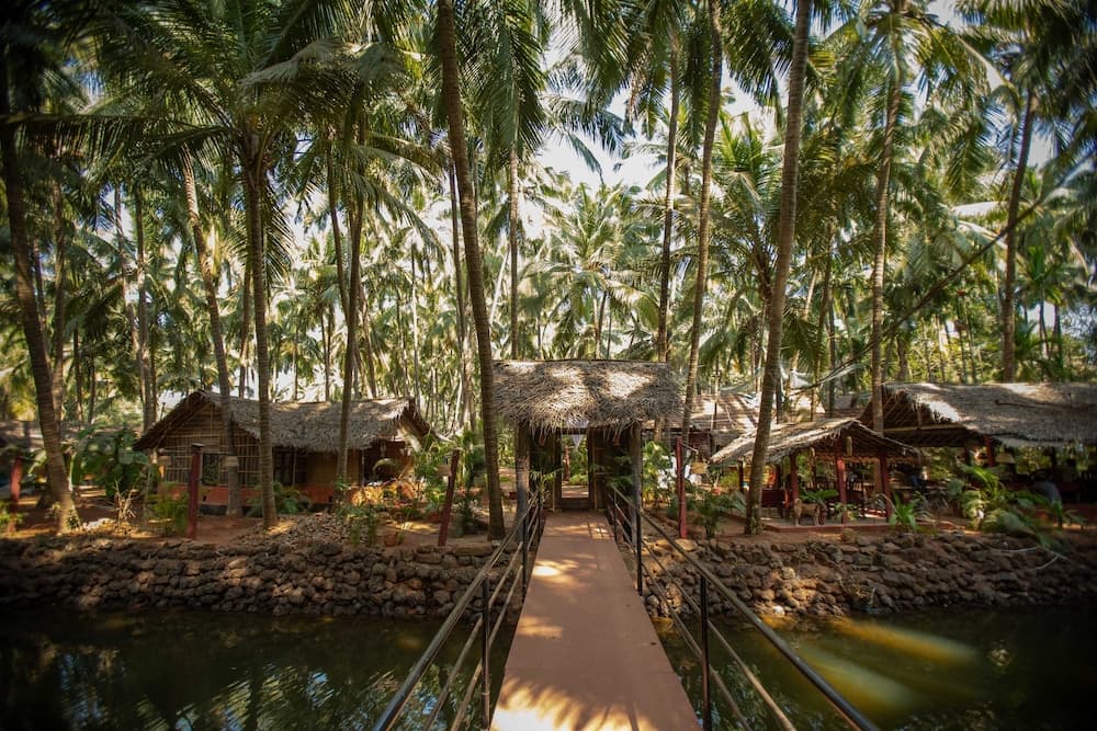 Palm Trees Ayurvedic Heritage photo 8
