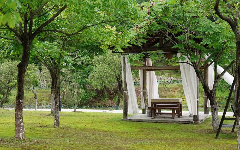 Dahongpao Resort Wuyi Mountain photo 4