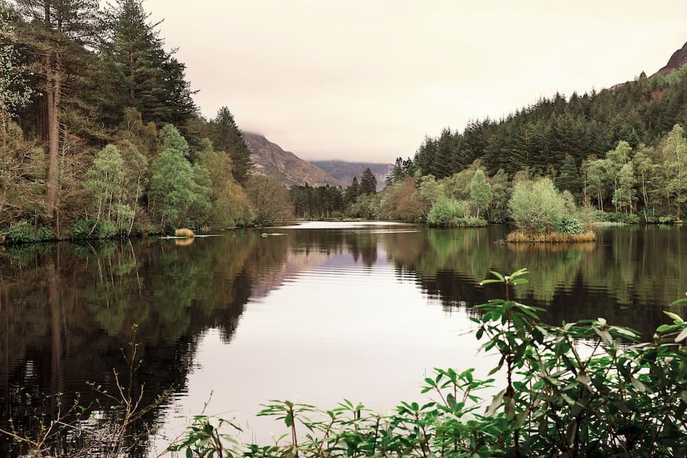 Loch Leven Hotel & Distillery photo 3