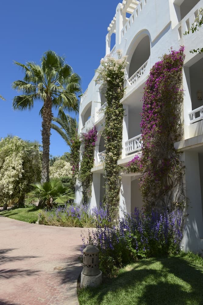 Djerba Resort photo 2
