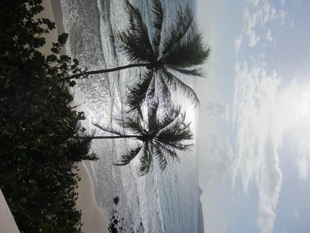 Petite Anse Hotel photo 7