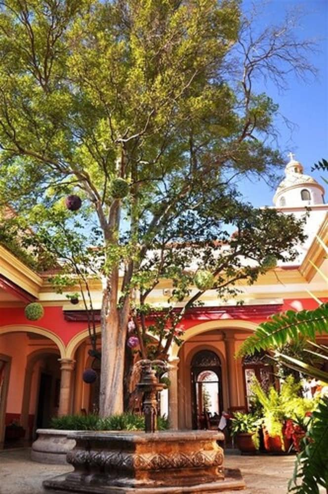 Gran Casa Sayula Hotel & Spa photo 6
