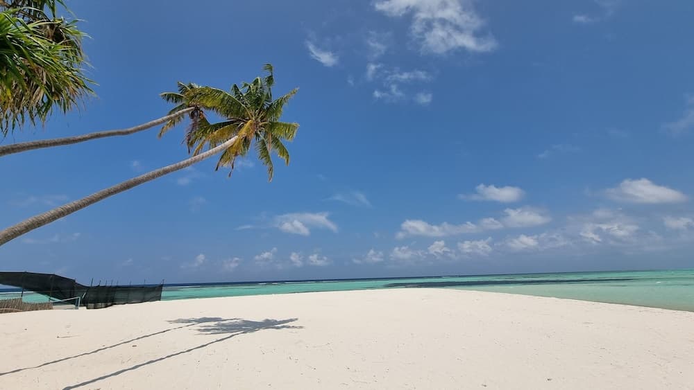 Sunset Beach View photo 8