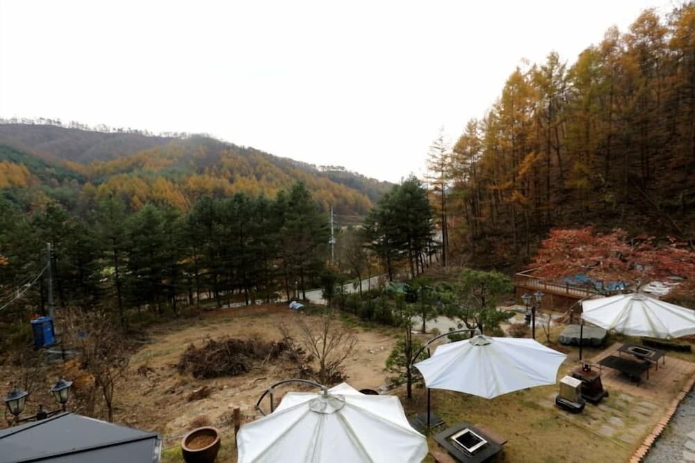 Pine Aroma Pension photo 3