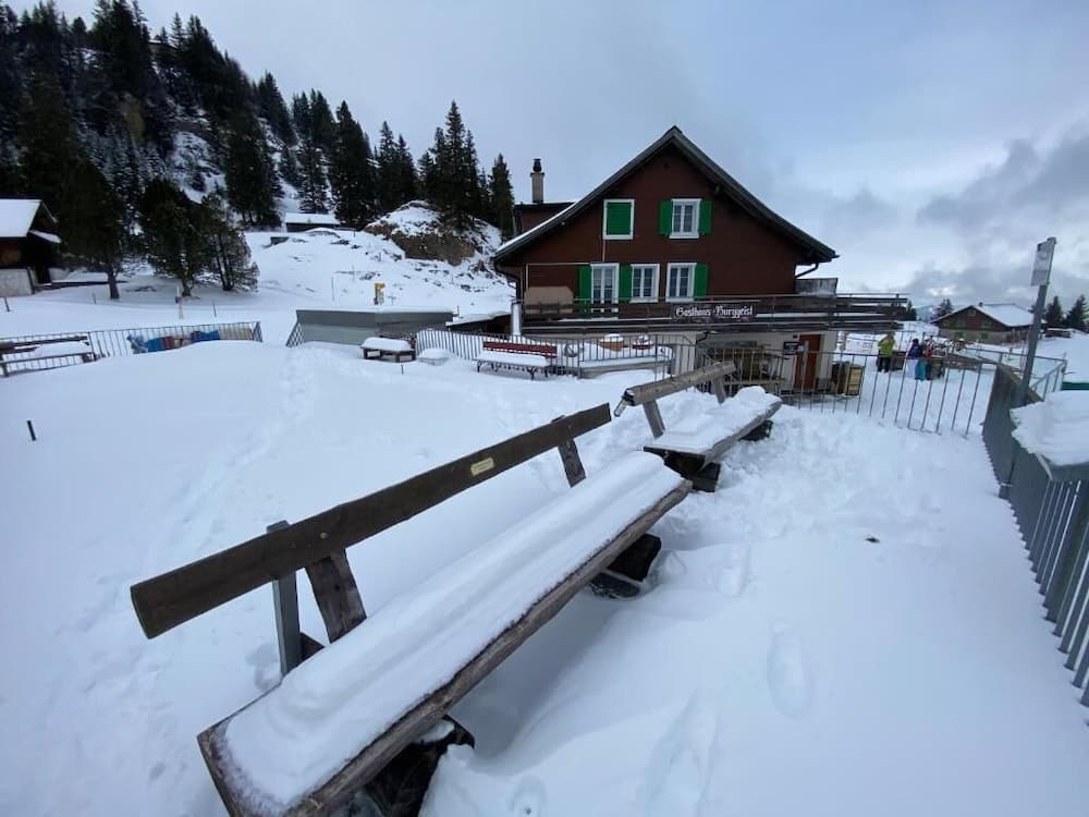 Rigi Burggeist photo 3