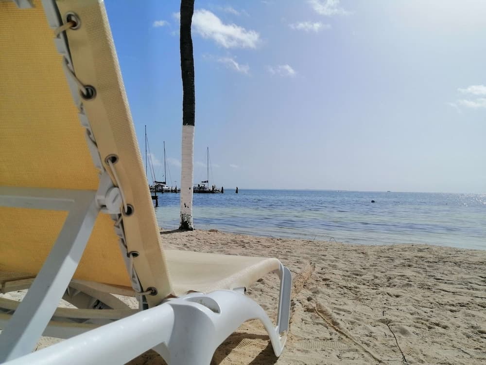 Ocean View Cancun Arenas photo 5
