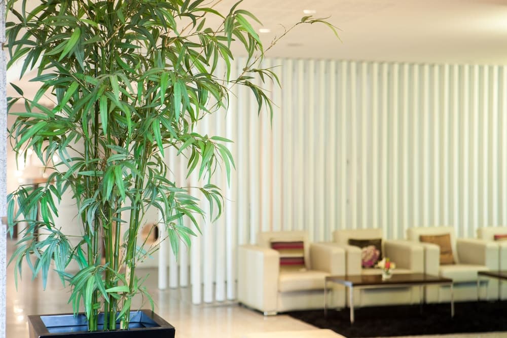Lux Fátima Park - Hotel, Suites & Residence photo 4