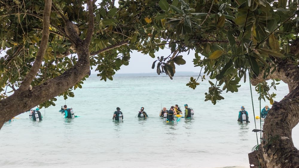 PALM REST MALDIVES photo 6