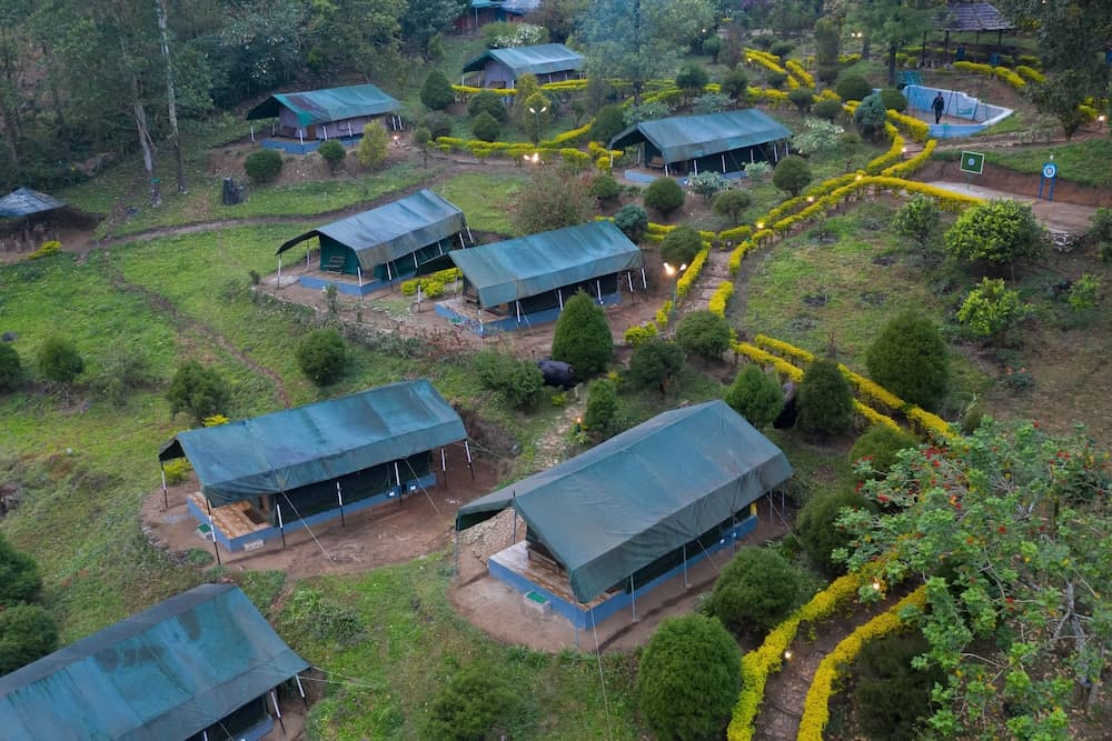 Nature Zone Jungle Resort photo 5