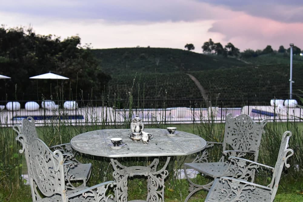 Finca Hotel Los girasoles photo 2