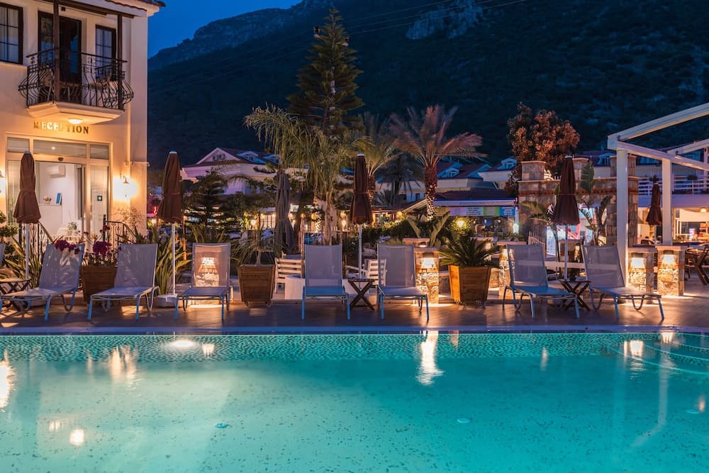 Bronze Hotel photo 8