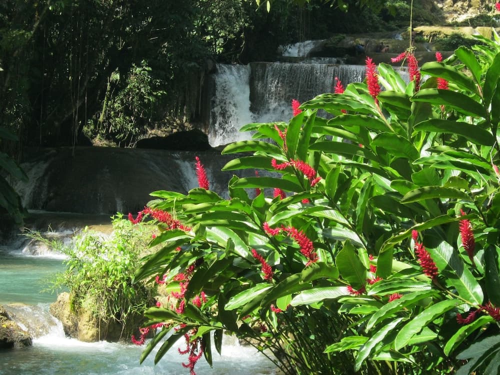 Kudehya Guesthouse photo 8