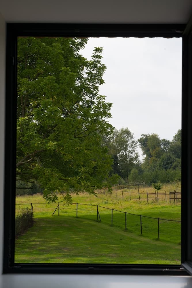 Park 7 photo 9