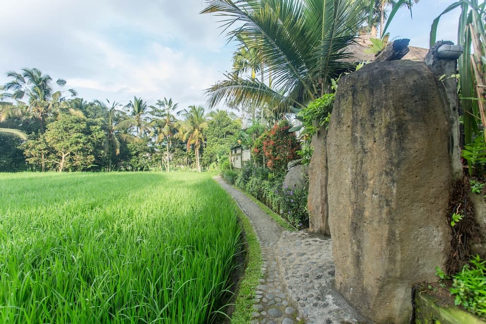 Ubud Luwih Villa photo 4