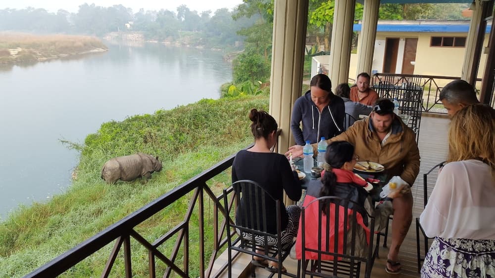 Jungle Wildlife Camp