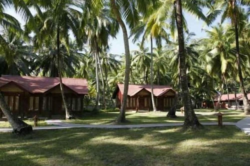 Silver Sand Neil photo 6