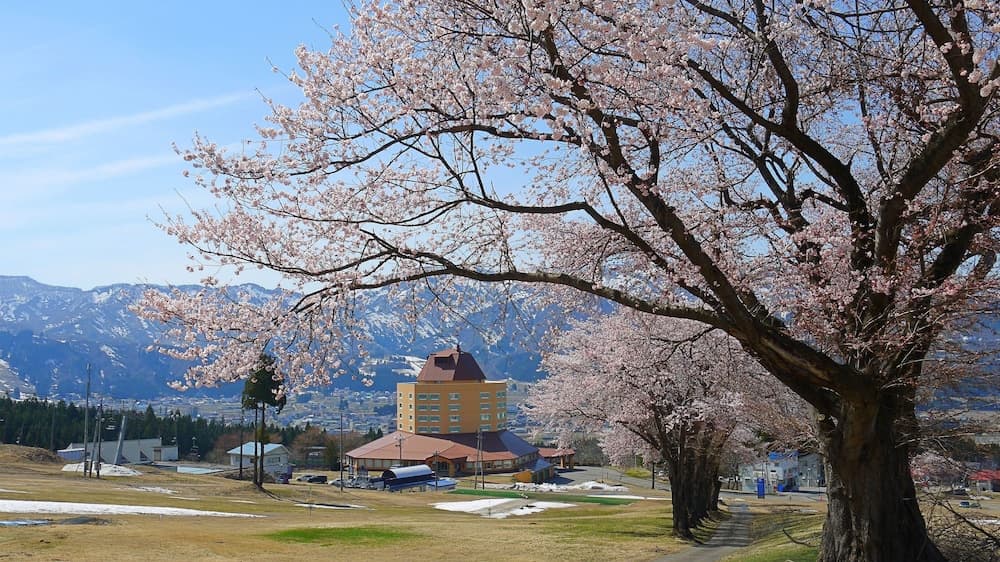 Maiko Kogen Hotel photo 9