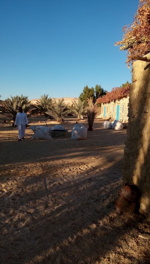 Siwa Relax Retreat - Adults only photo 4