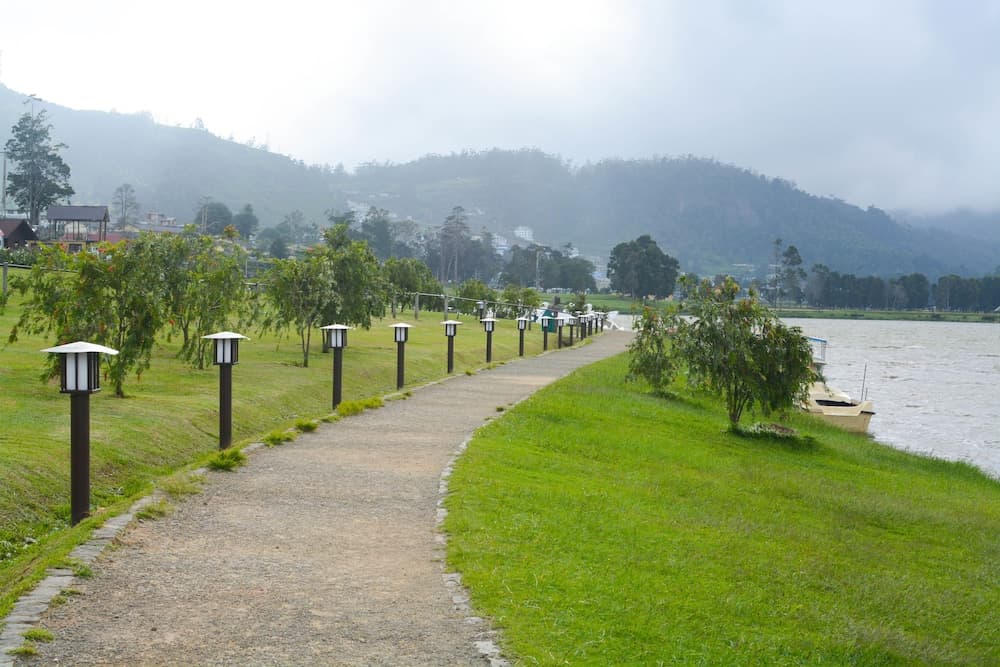 The Tea Garden photo 8