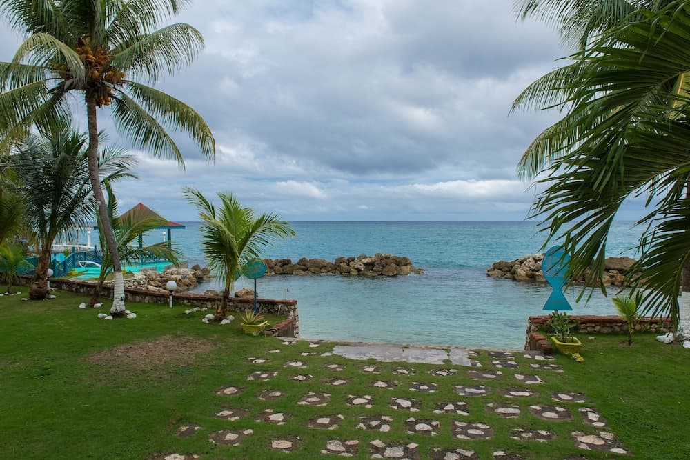 Tropical Beach Suite photo 7