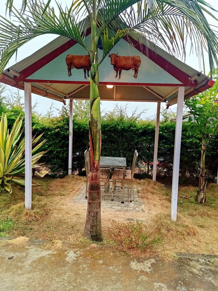 Pauwa Garden Resort photo 3