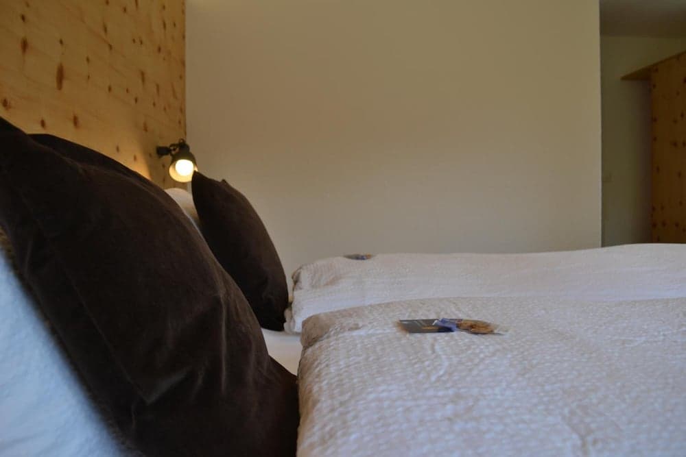 Schorta's Hotel Alvetern photo 4
