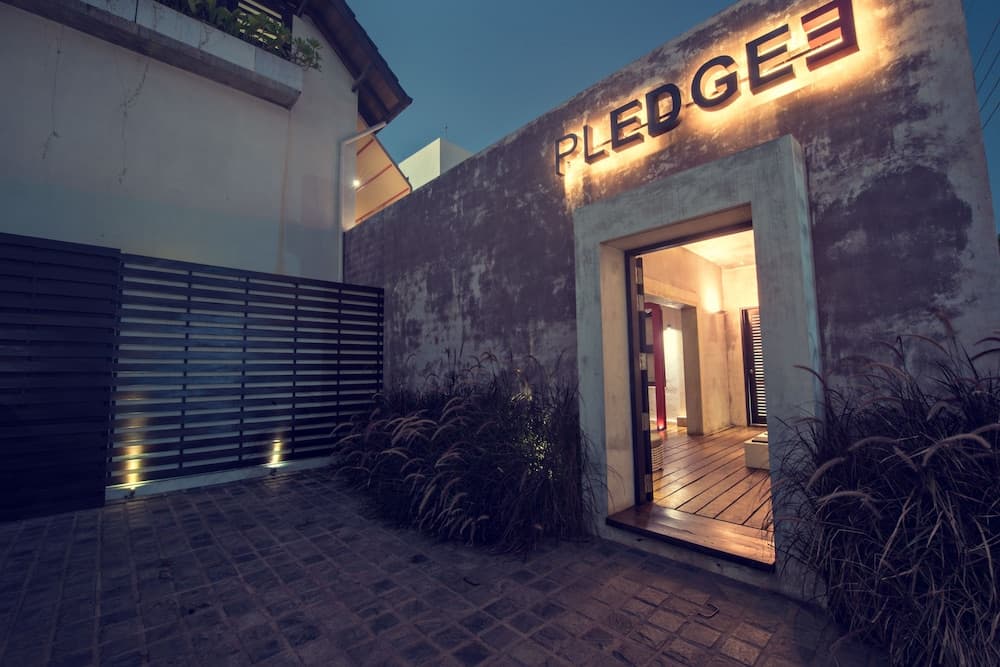Pledge3 photo 8