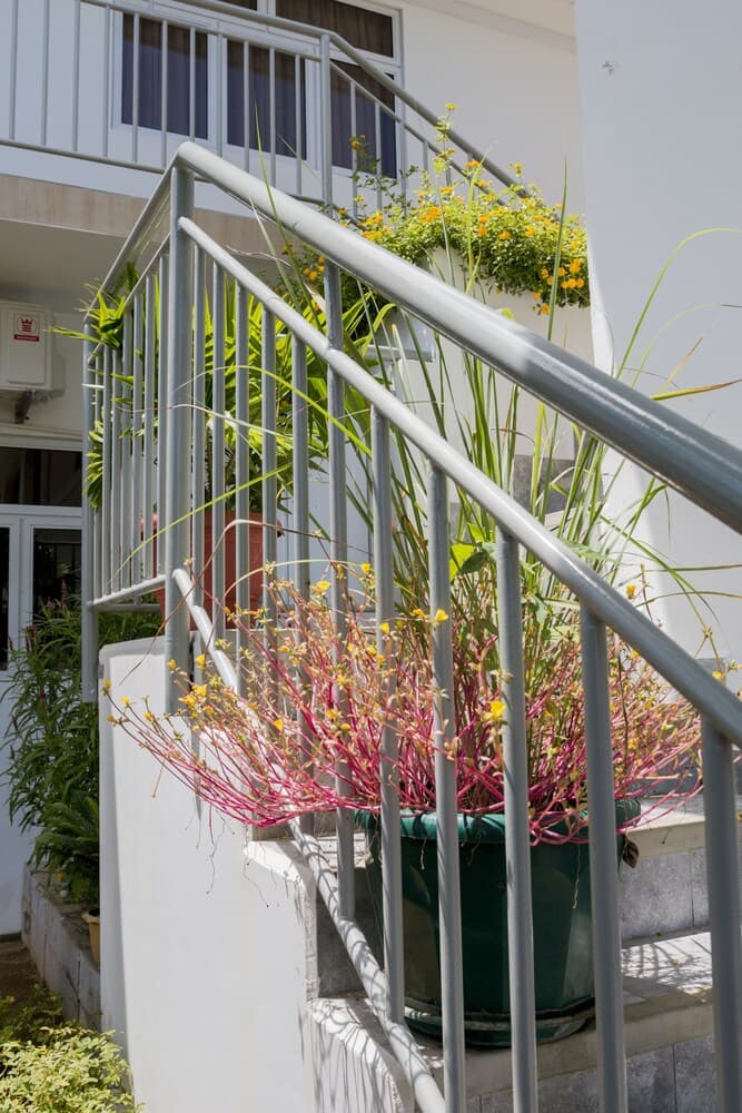 Le Manglier Guest House photo 5