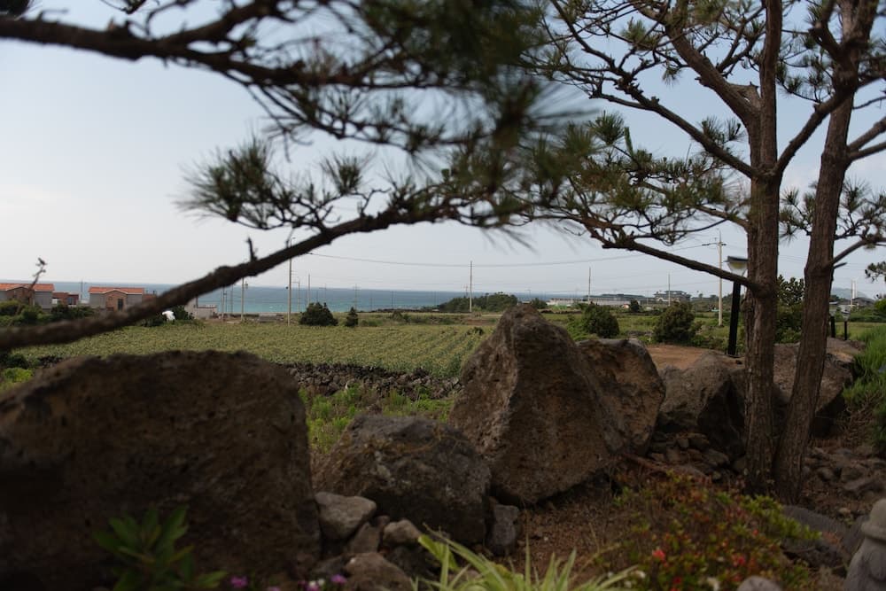 BaDang Garden photo 8