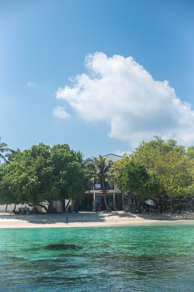Thundi village and spa photo 4