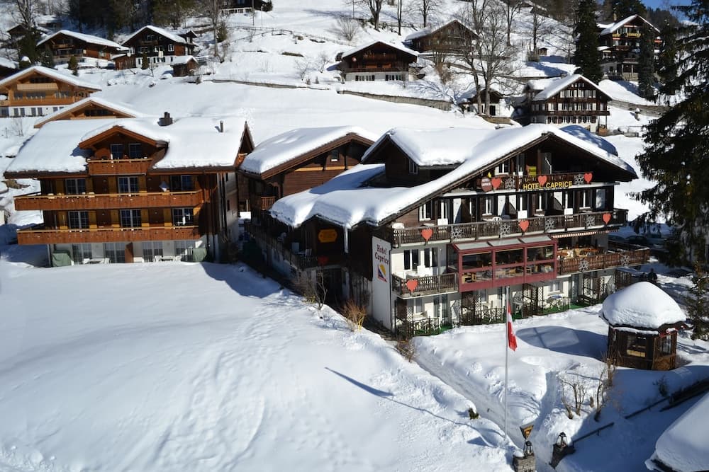 Hotel Caprice photo 7
