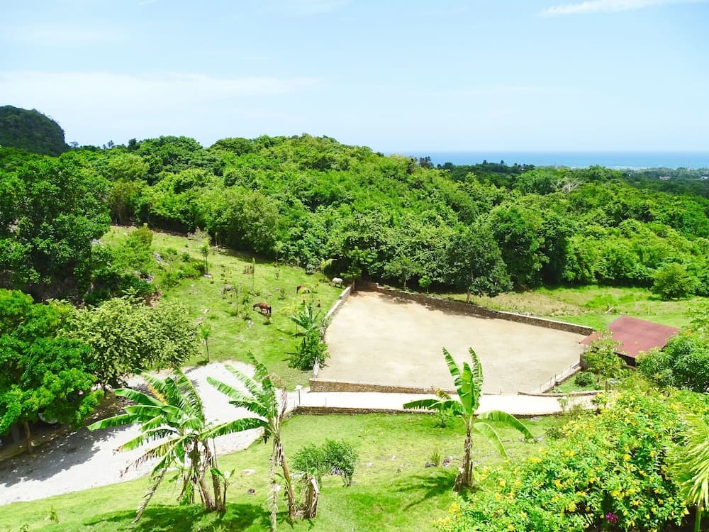Las Galeras Village photo 9