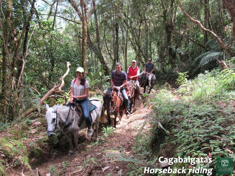 Finca Los Arboles photo 7