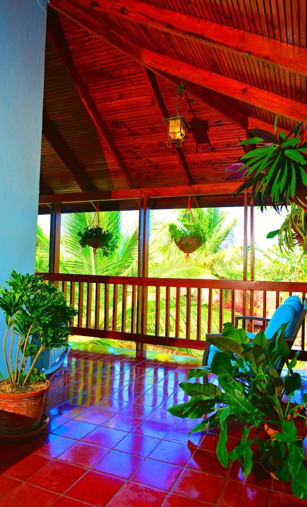 Villa Celeste Estate photo 3