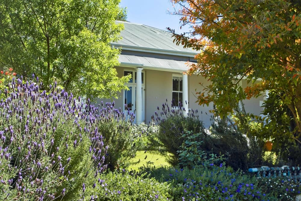 Montagu Vines Guest House photo 8