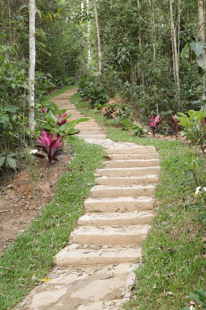 Ecolodge Palonegro photo 8