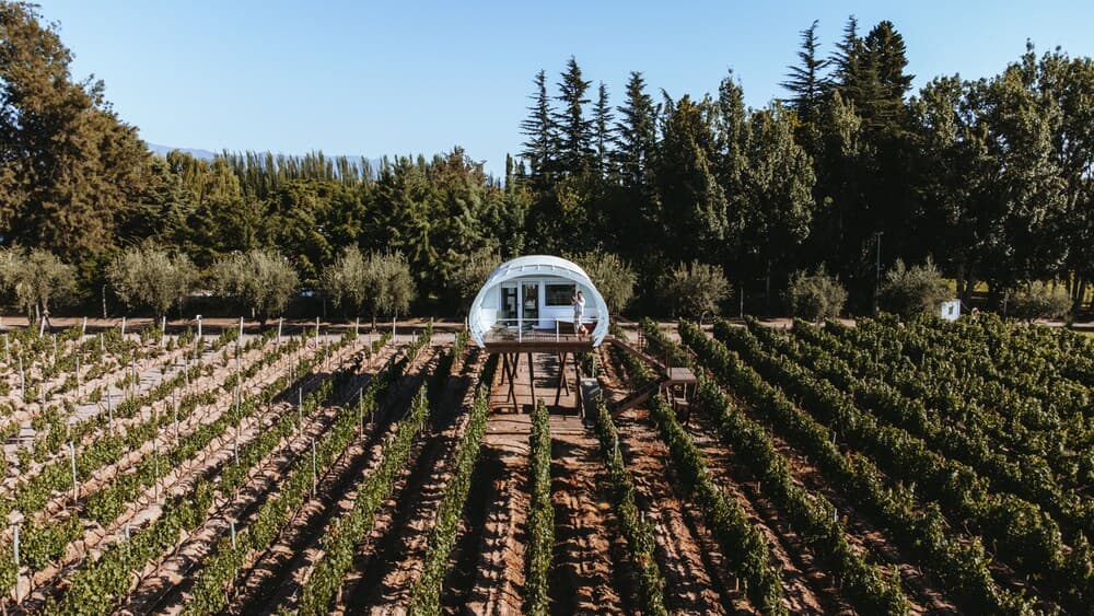 Entre Cielos Wine & Wellness Hotel photo 2