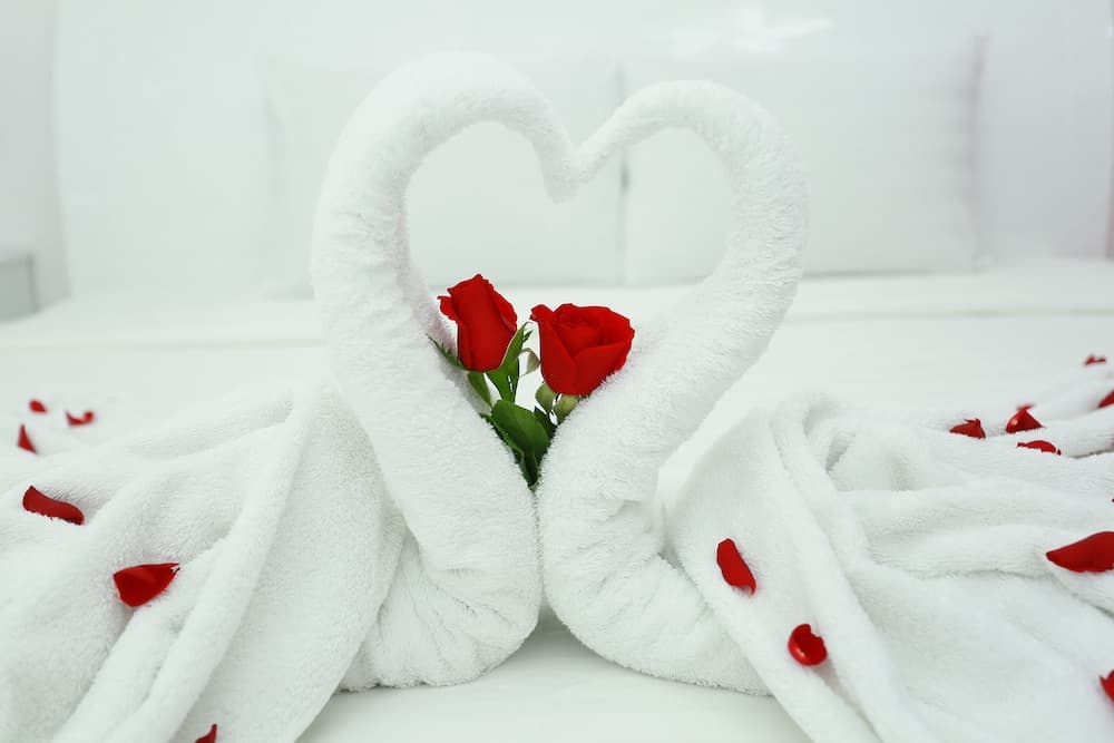 Valentine Hotel photo 5
