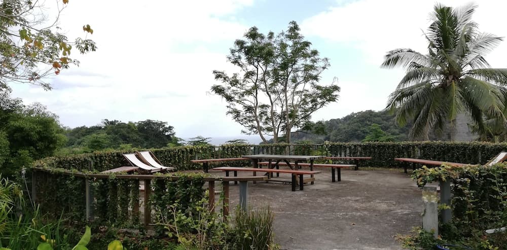 Juhu Farmstay photo 2
