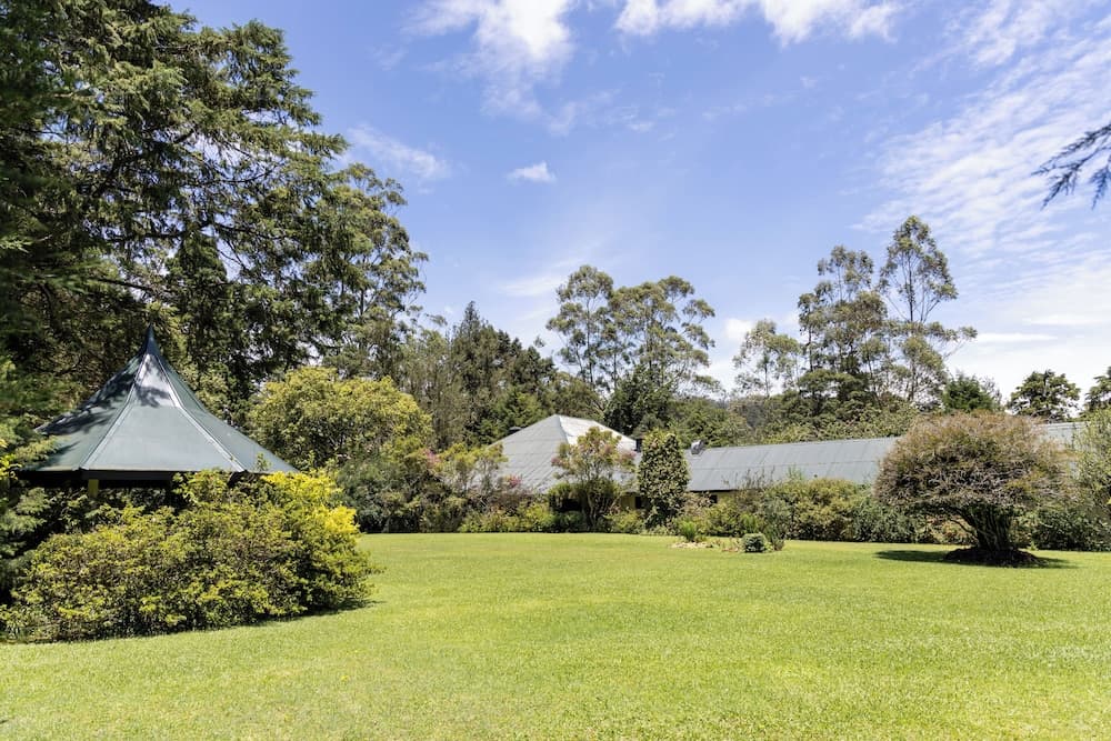 Ferncliff Bungalow photo 9