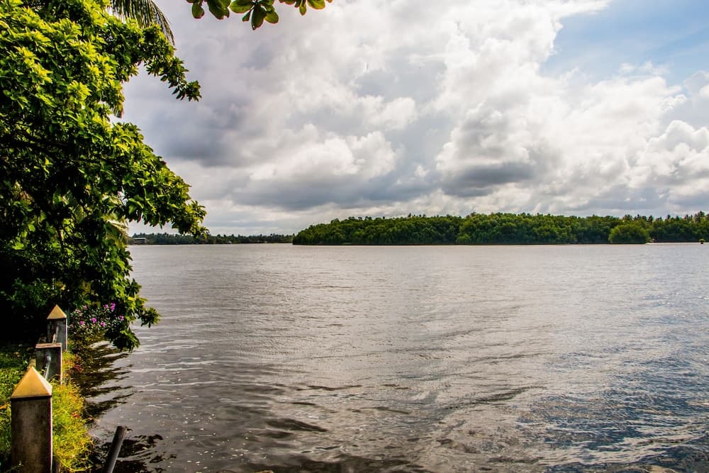 Riverbank Bentota photo 2