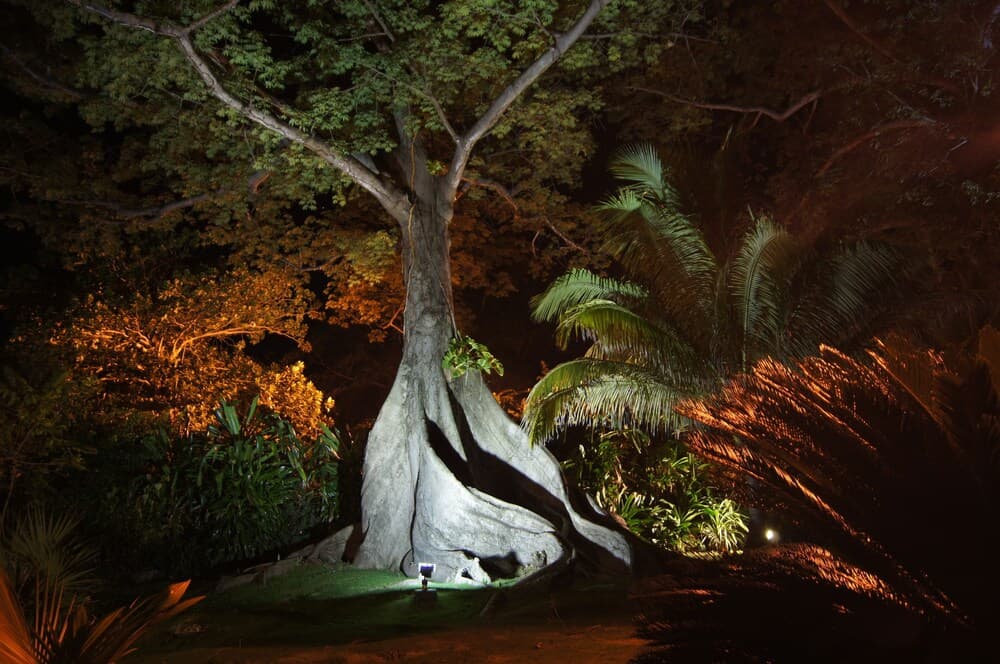 Beachcliff Villa Negril photo 9