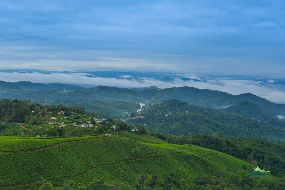 Misty Mountain Resort photo 3