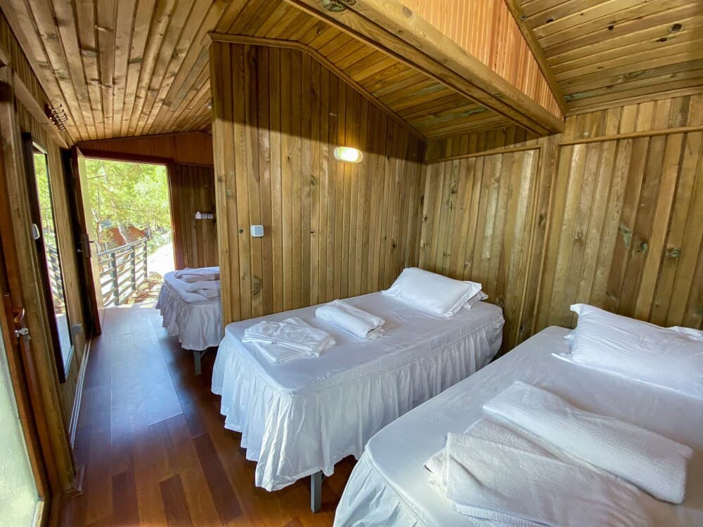 Tree Houses photo 9