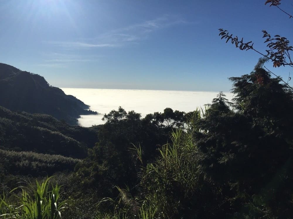 Tea Cloud Guest House photo 7