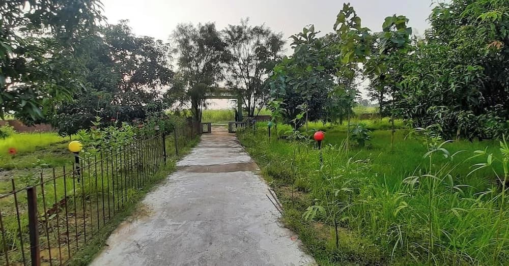Tharu Mango Garden Resort photo 8