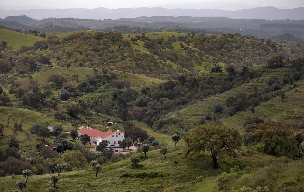 Quinta do Chocalhinho photo 5