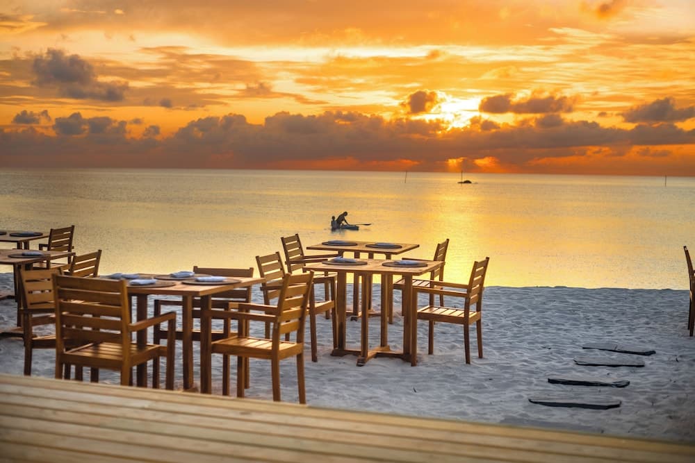 The Maverick Surf and Dive Boutique Hotel photo 4