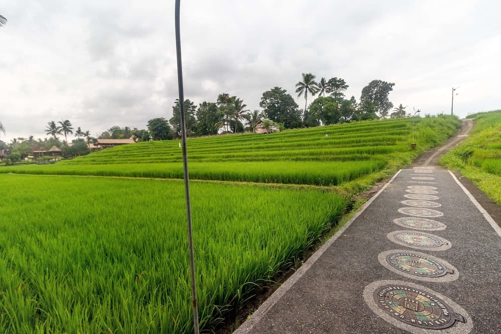 Umasari Rice Terrace Villa photo 5
