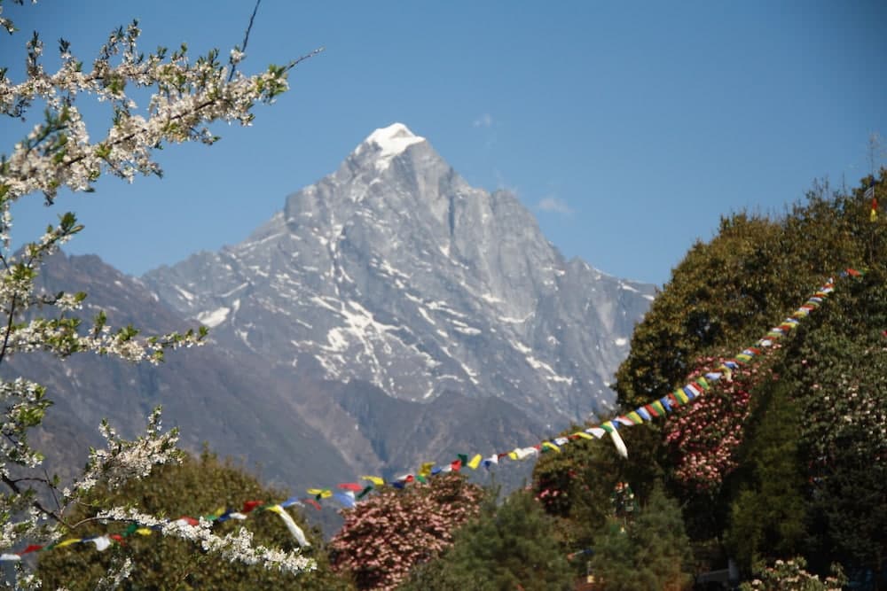 Himalaya Lodge photo 5